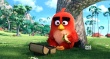 胖红被蛋包围啦！《愤怒的小鸟》曝复活节海报