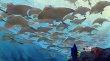 《海底总动员2》曝多张设计图 多莉展开大冒险