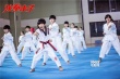 《龍拳小子》發(fā)預(yù)告 劉芮麟聯(lián)手00后踢爆暑期檔
