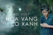 绿地黄花