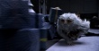 《神奇動物在哪里》曝劇照 重回神秘魔法世界