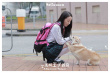 一条叫王子的狗