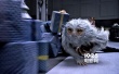 《神奇動物》詳解6種魔法生物 曝奧運(yùn)版電視預(yù)告