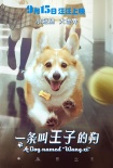 《一條叫王子的狗》終極海報(bào):柯基王子搭學(xué)生妹