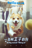 一条叫王子的狗