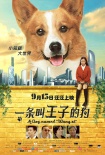 《一条叫王子的狗》终极海报:柯基王子搭学生妹