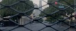 病毒入侵