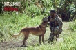 《湄公河行動(dòng)》曝番外視頻 緝毒犬哮天呆萌可愛