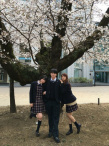 蜜桃女孩