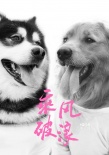 后会有期！马达加斯加重返银幕 助阵《乘风破浪》