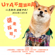Uta不是流浪狗