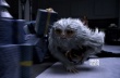 《神奇動物》獲贊年度奇觀 三大解謎開啟魔法世界