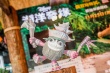 《海洋奇缘》主题特展开幕 椰子海盗游戏引围观