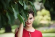 独家：莫小棋悉尼写真大片 红裙摇曳女神范十足
