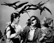 《獅子王》《群鳥》等作品入選美國國寶影片名錄