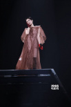 王菲演唱会妆容有个性 刘嘉玲陈奕迅章子怡等捧场