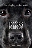忠犬八公导演新作发