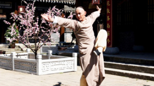 擎天无影脚黄麒英