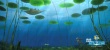 春节档口碑冠军《熊出没·奇幻空间》曝光新预告