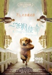 《一条狗的使命》终极预告海报双发 悟狗生真谛