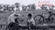 金马奖影片《八月》3.24上映 各大权威媒体力荐
