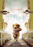《一条狗的使命》公映 八年后狗狗再次感动世界