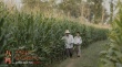 金馬最佳影片《八月》手繪海報(bào) 導(dǎo)演張大磊摯筆