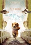 《一条狗的使命》使命版特辑 情感共鸣赢超高口碑