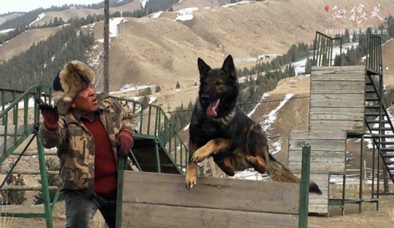 《血狼犬》曝光制作花絮