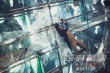 《逆时营救》曝特辑 杨幂霍建华挑战高难度动作戏