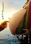 《西游記女兒國(guó)》海報(bào) 師徒女王世外桃源捉迷藏