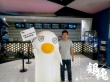 《銀魂》吉祥物空降上海電影節(jié) 現(xiàn)場萌翻實(shí)力圈粉