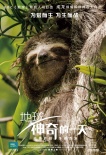 《地球》新角色海報(bào) “蜂鳥大戰(zhàn)蜜蜂”片段曝光