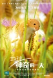 《地球》新角色海報 “蜂鳥大戰(zhàn)蜜蜂”片段曝光