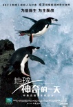 《地球》新角色海報 “蜂鳥大戰(zhàn)蜜蜂”片段曝光