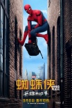 《蜘蛛侠》成长版海报预告 小蜘蛛再谱英雄传奇