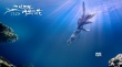 《三生三世十里桃花》曝特辑 不惜成本打造视效
