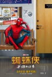《蜘蛛侠：英雄归来》全球圈粉无数 有望拍续集