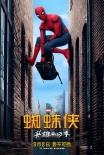 《蜘蛛侠：英雄归来》全球圈粉无数 有望拍续集