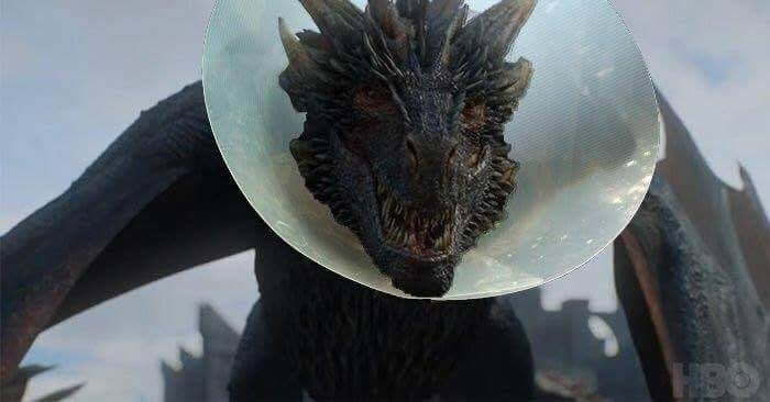 当然,龙母也付出了点代价,那就是龙宝卓耿被瑟曦的弓箭射伤了.