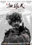 《血狼犬》蒙特利尔获银奖 中国西部电影扬威国际