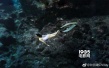 鐘麗緹水中擁吻張倫碩 變身美人魚大秀豐胸美臀