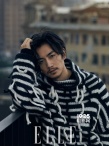 质感十足！陈晓携狗拍大片 百变风格散发迷人魅力