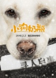 電影《小狗奶瓶》定檔2月2日 萌犬守約漫漫回家路