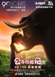 《公牛历险记》曝形影不离海报 人牛互动温情十足