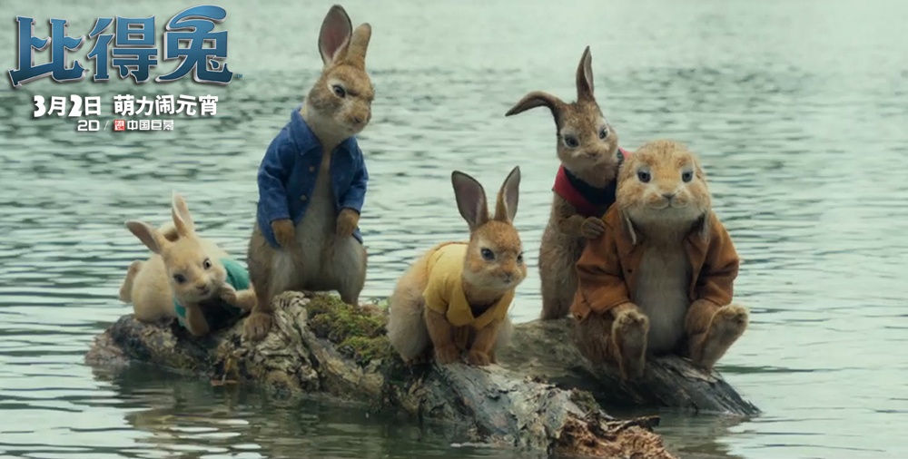 比得兔_电影剧照_图集_电影网_1905.com