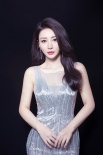 柳岩鱼尾银裙惊艳红毯 获颁“年度突破女演员”
