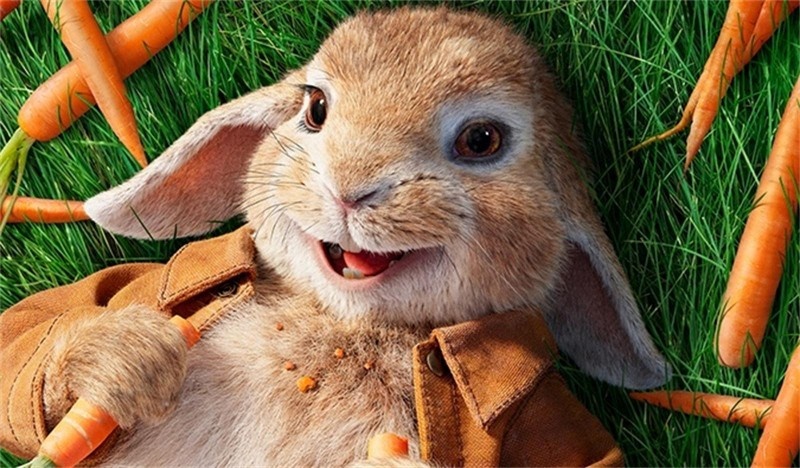 《比得兔》最新片段_高清视频在线观看_电影网