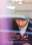 《寻找罗麦》