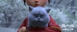 动画《猫与桃花源》将映 许巍首度为电影献声